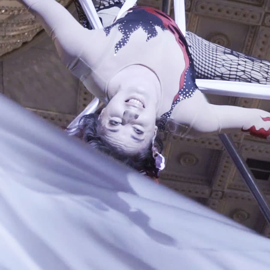 Aerialists
